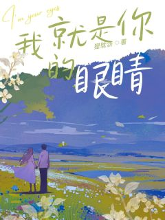 《念念文婉欧阳》小说全集免费在线阅读（我就是你的眼睛）