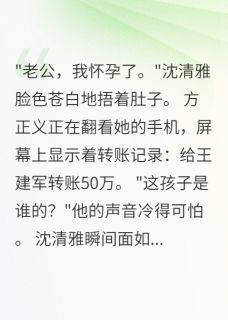 《方正义沈清雅》小说章节目录免费试读 离婚当天，她说孩子是我的小说全文
