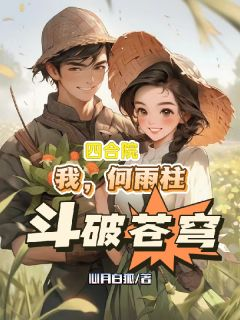 《四合院：我，何雨柱，斗破苍穹》小说全文在线试读 何雨柱傻柱易中海小说阅读