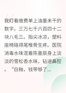 小说《灿灿陈墨辰白釉》重生后我不再当舔狗，男神回头了全文免费阅读