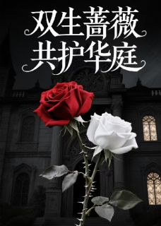 双生蔷薇，共护华庭苏晴林薇程岩by喜欢刺芹的钟烈完整在线阅读